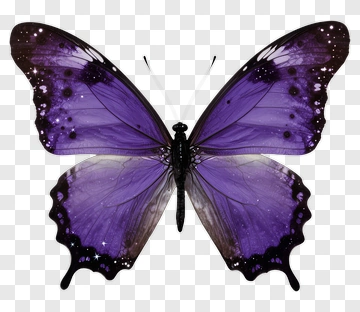 Purple Butterfly With Starry Wings PNG