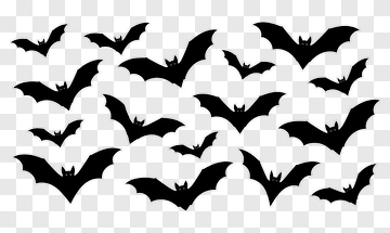 Black Bats Flying PNG