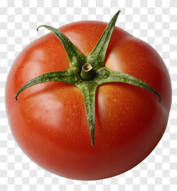 Fresh Red Tomato PNG
