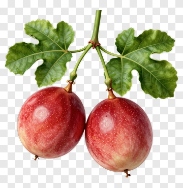 Passion Fruit With Leaves PNG