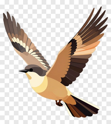 Flying Bird With Spread Wings PNG