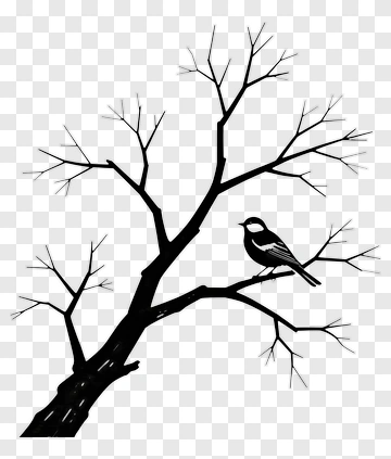 Bird On A Tree Branch PNG