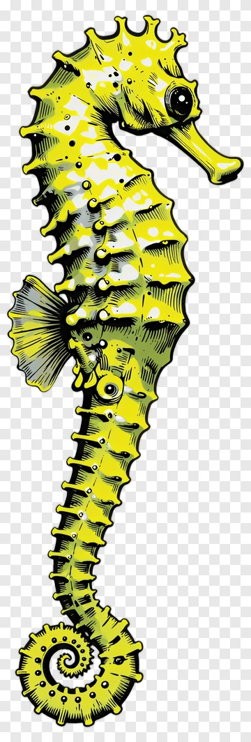 Yellow Seahorse Illustration PNG