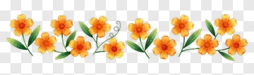 Orange Flower Border Design PNG