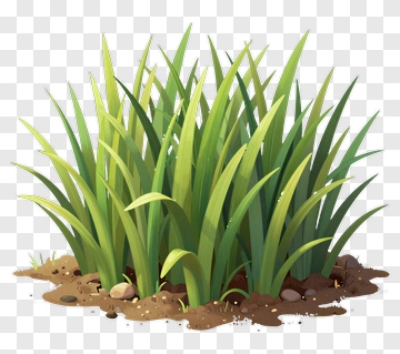 Cartoon Grass With Soil And Stones PNG