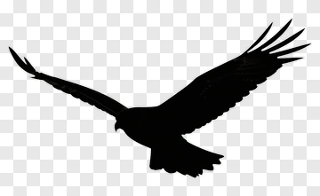 Eagle In Flight Silhouette PNG