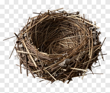 Bird Nest PNG