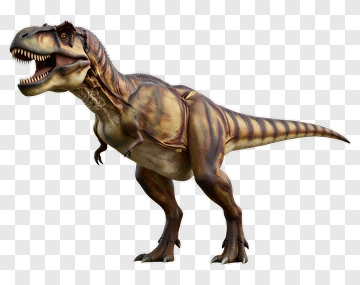 Tyrannosaurus Rex Roaring PNG