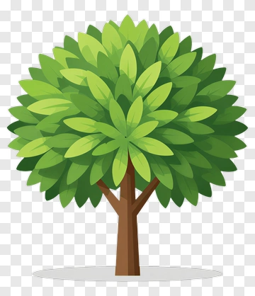 Tree PNG