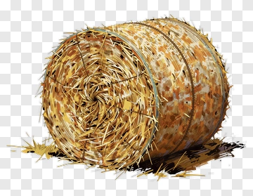 Hand-Drawn Hay Bale PNG