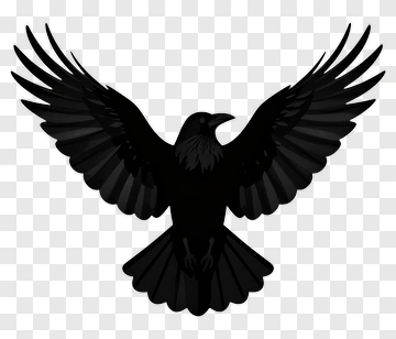 Black Crow Silhouette PNG