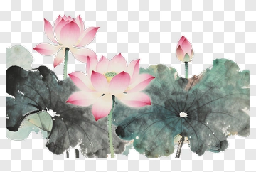 Lotus Flowers And Leaves In Watercolor PNG