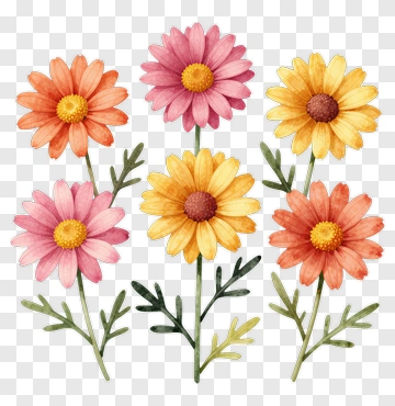 Colorful Watercolor Flowers PNG