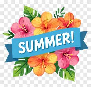Summer Flowers With Banner PNG