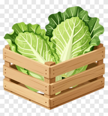 Fresh Lettuce In Wooden Crate PNG