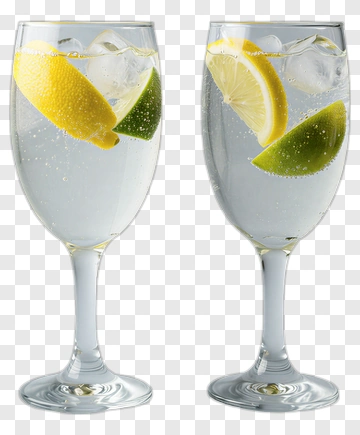 Two Glasses With Lemon Lime And Ice PNG