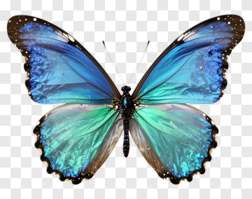Blue And Green Butterfly PNG