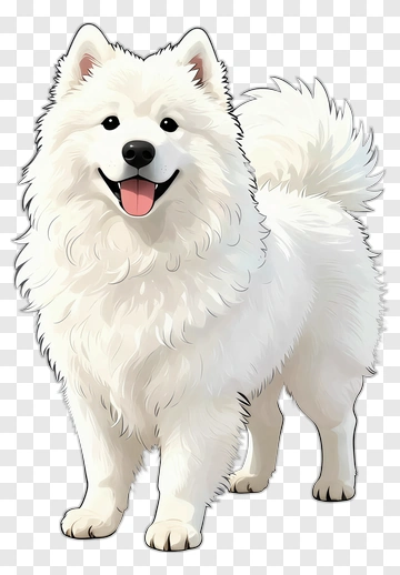 Samoyed Dog Cartoon Illustration PNG