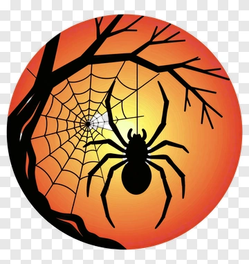 Spooky Spider On Web PNG