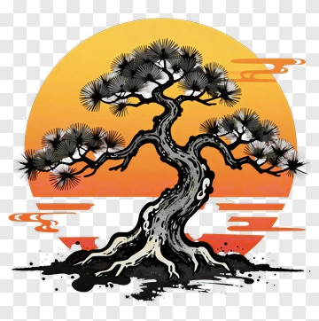 Bonsai Tree Against Sunset PNG
