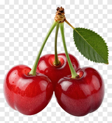Three Cherries With Leaf PNG