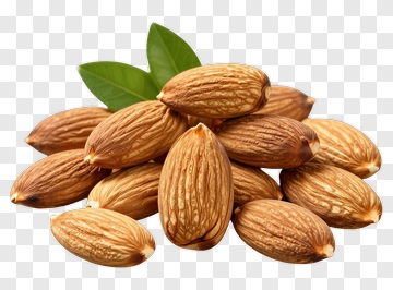 Almond With Leaf PNG