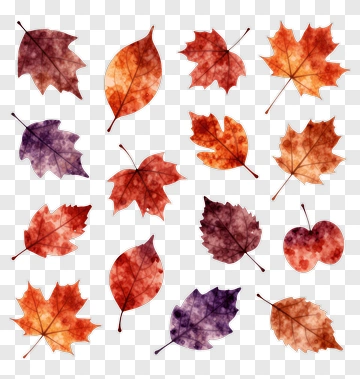 Watercolor Autumn Leaves And Apple PNG