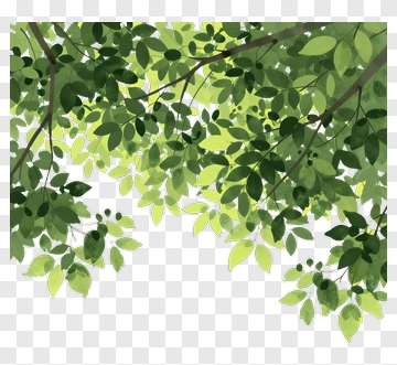 Watercolor Tree Leaves PNG