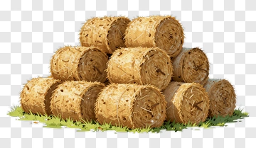 Stack Of Hay Bale On Grass PNG