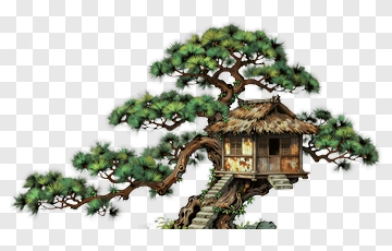 Treehouse Nestled In A Pine Tree PNG