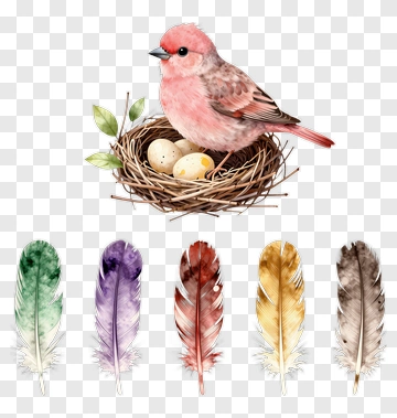 Pink Bird In Nest With Feathers PNG