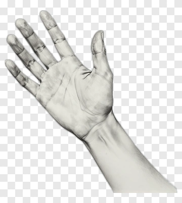 Pencil Drawing Of A Hand PNG