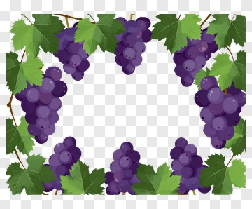 Purple Grapes With Green Leaves PNG