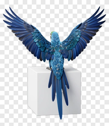 Blue Parrot With Wings Spread PNG