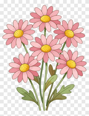 Pink Daisy Flowers Bouquet PNG