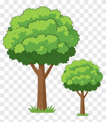 Two Trees PNG