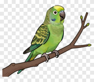 Green Parrot On Branch PNG