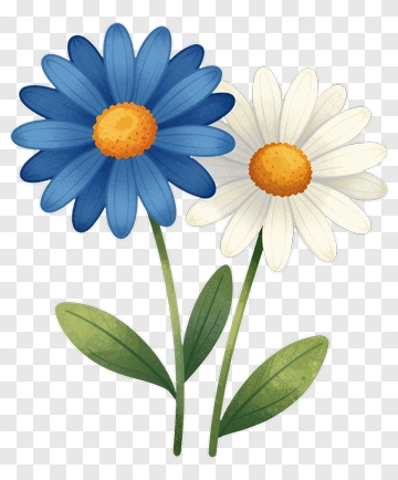 Blue And White Daisy Flowers PNG