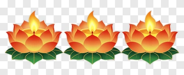Three Lotus Candles PNG