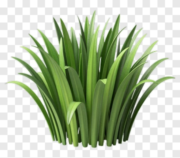 Green Grass Cluster PNG