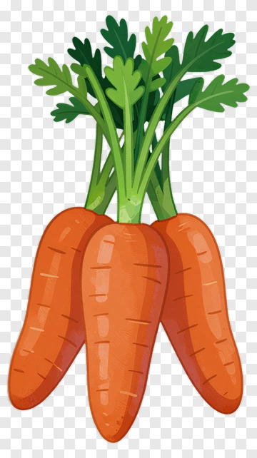 Fresh Carrot With Green Leaf PNG