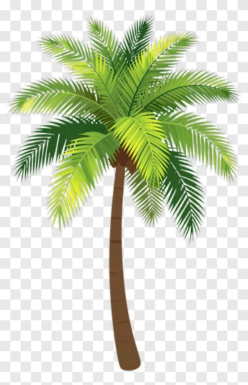Palm Tree PNG