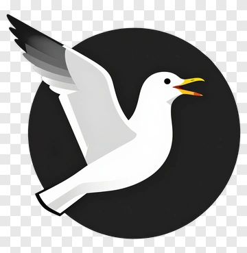 Seagull In Flight PNG