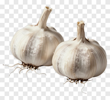 Two Garlic Cloves PNG