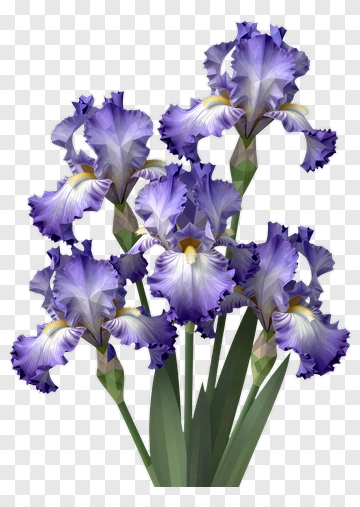 Purple Iris Bouquet PNG