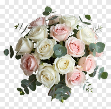 Pink And White Roses With Eucalyptus PNG