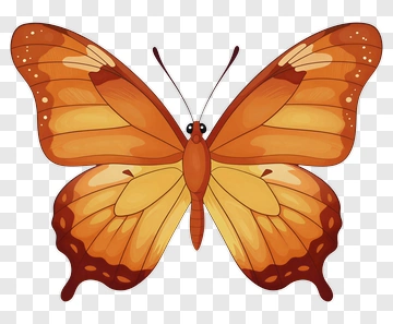 Orange And Yellow Butterfly PNG