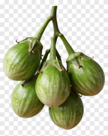 Cluster Of Green Eggplants PNG