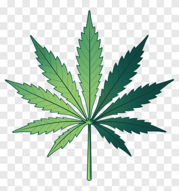 Cannabis Leaf PNG