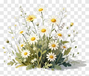 Daisy And Wildflower Bouquet PNG